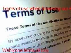 Weblynne Web Site Terms and Conditions of Use Centurion Pretoria