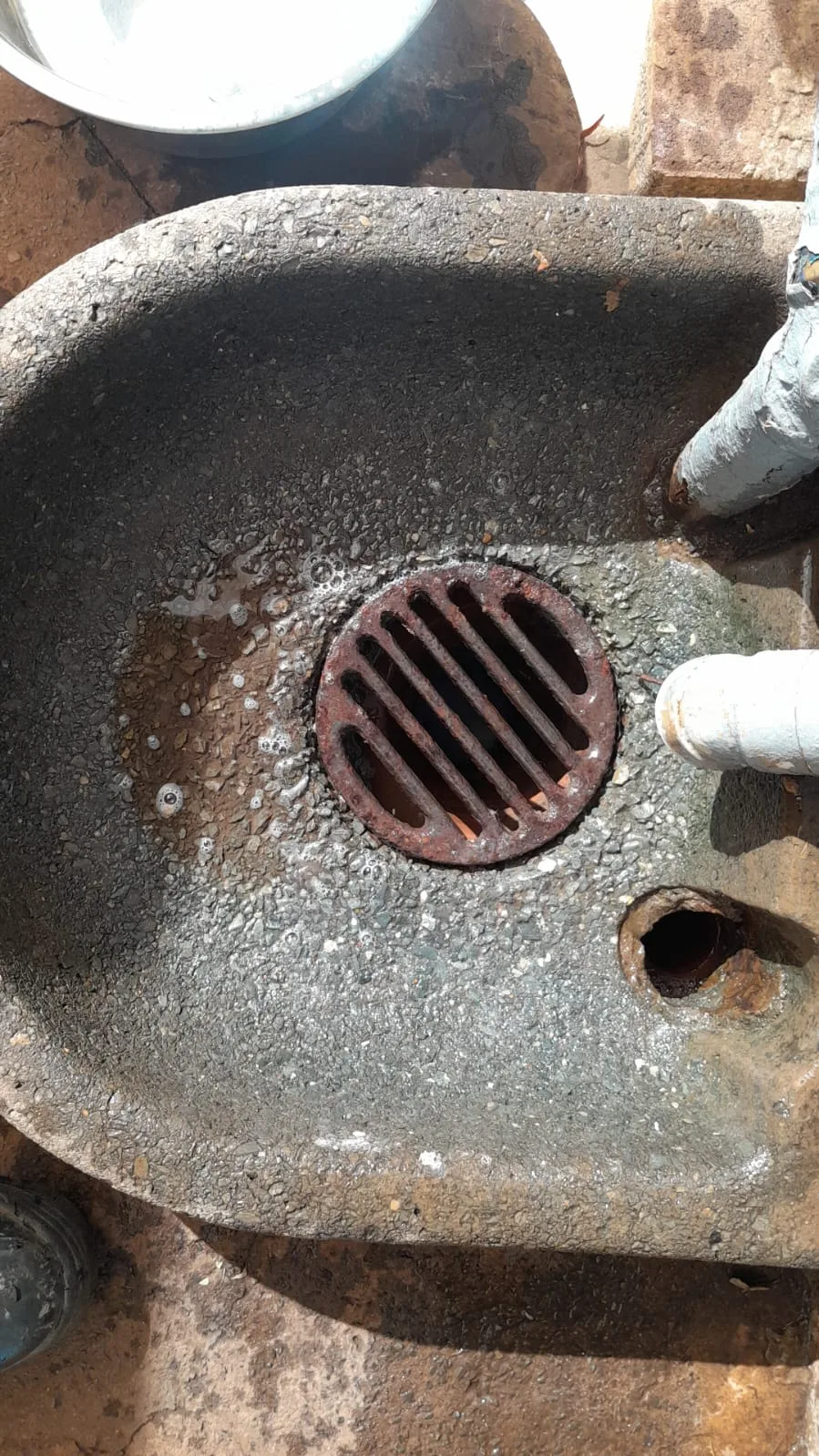 Tree roots removed from a blocked drain pipe