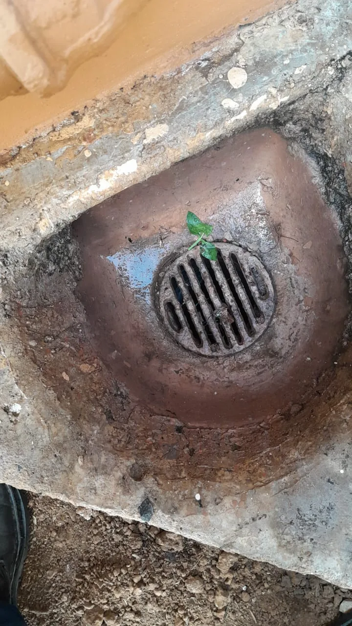 Blocked drain cleared in Alberton