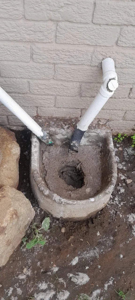 Tree roots removed from a blocked drain pipe
