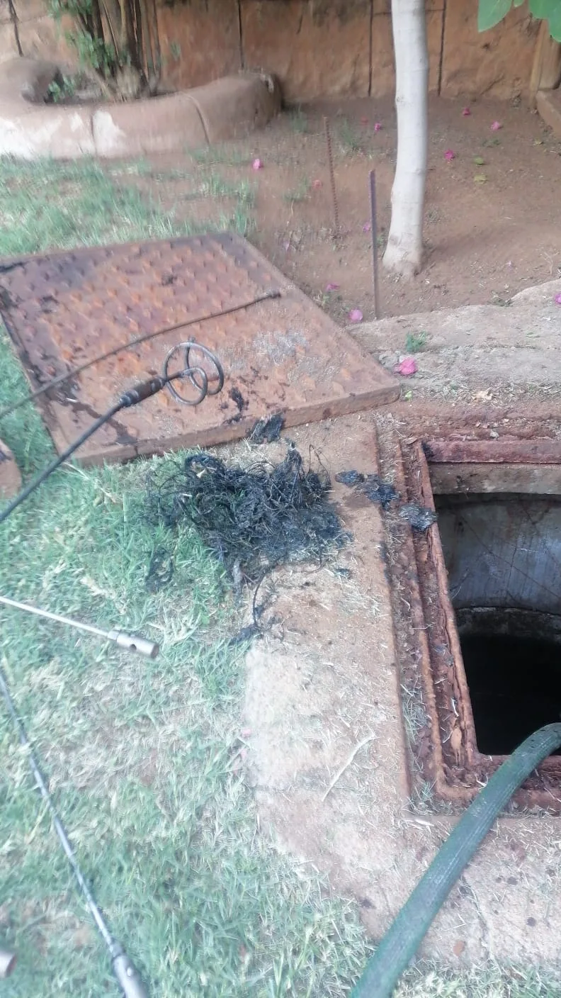 Tree roots removed from a blocked drain pipe