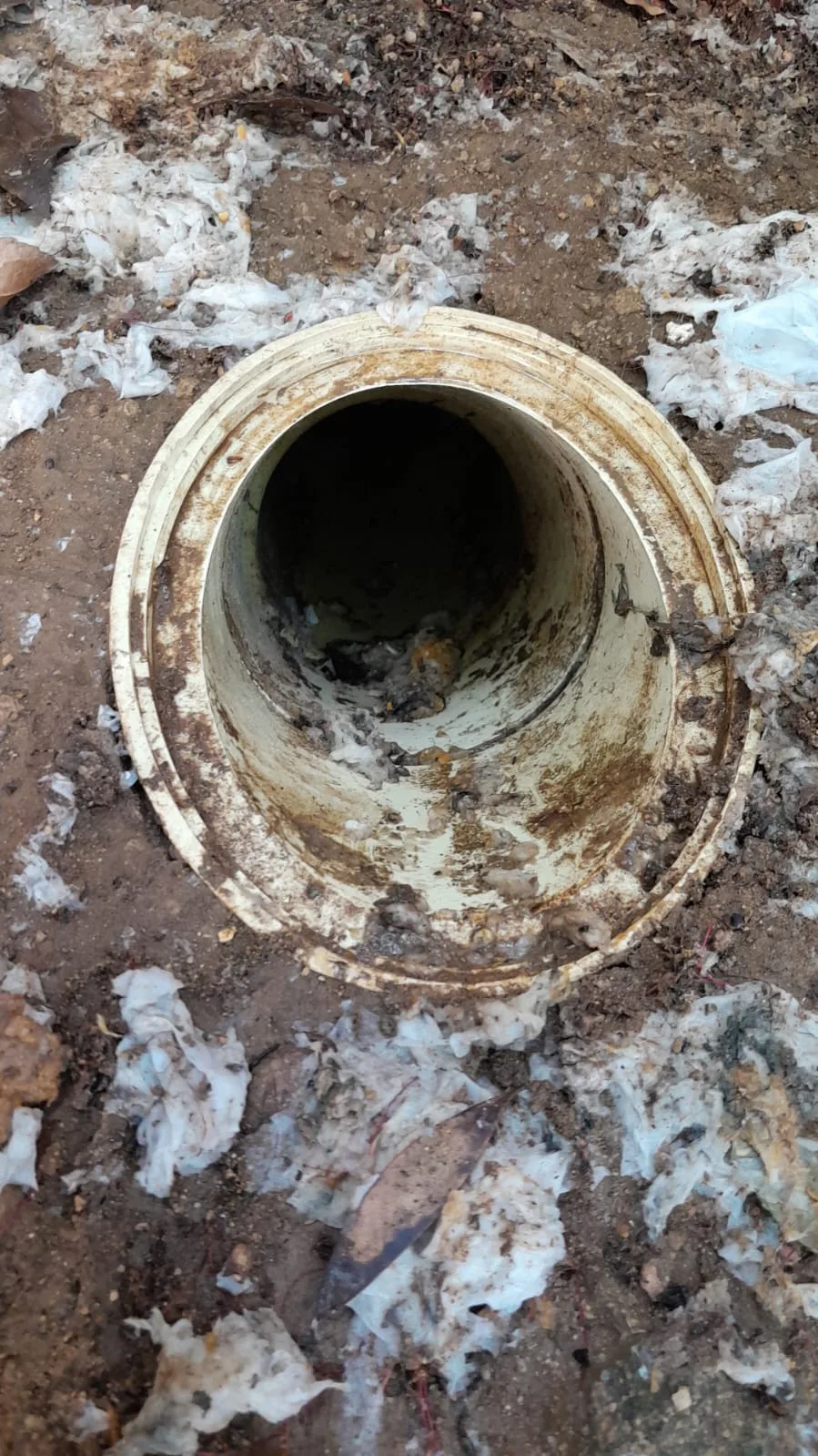 Brenthurst blocked drain cleaning service
