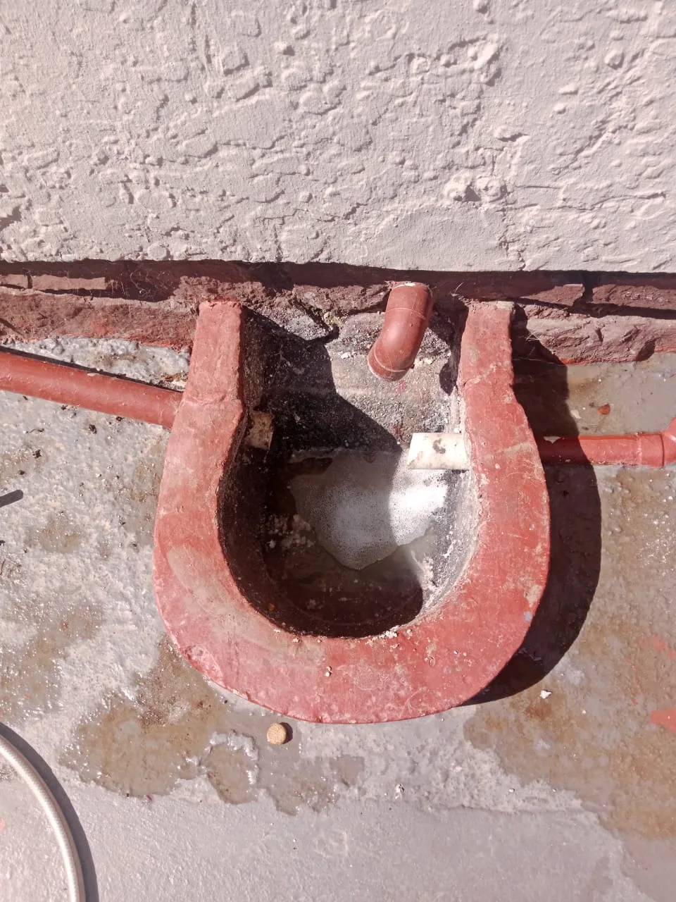 Tree roots removed from a blocked drain pipe