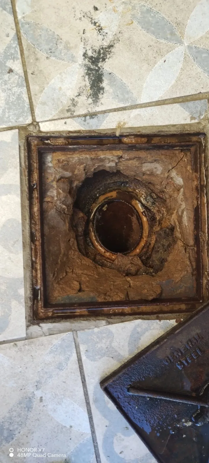 Tree roots removed from a blocked drain pipe