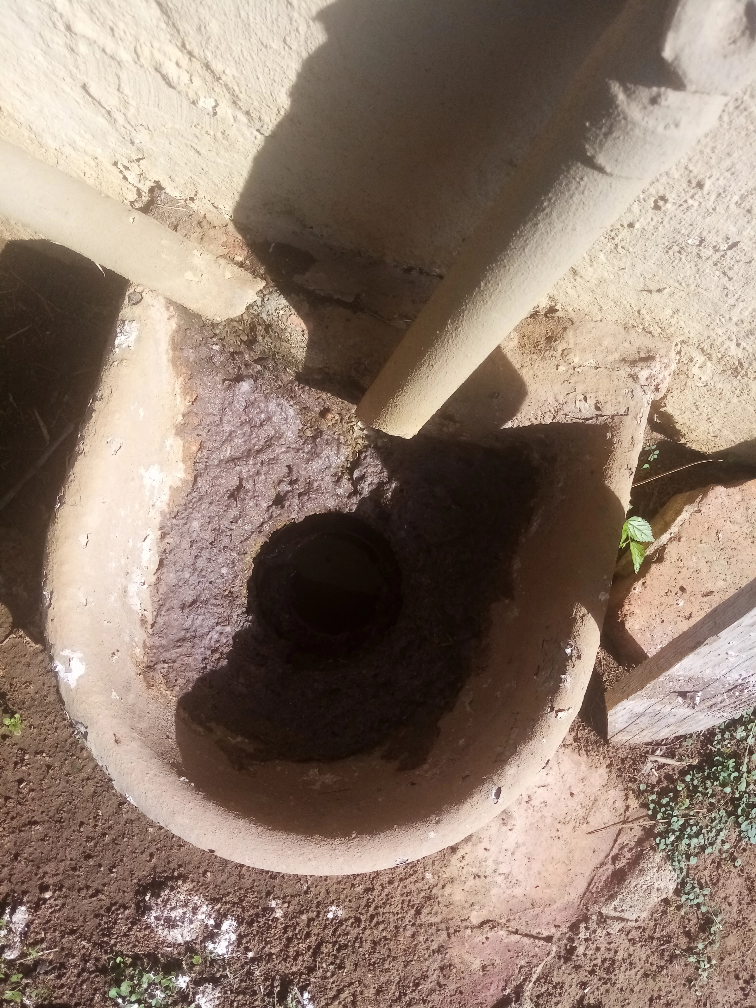 Tree roots removed from a blocked drain pipe in Centurion East Tree roots removed from a blocked drain pipe in Centurion East
