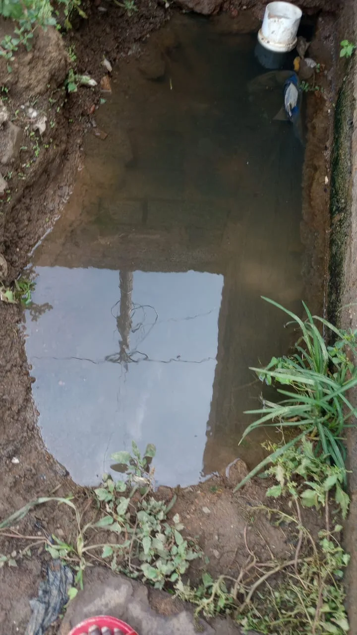 Tree roots removed from a blocked drain pipe