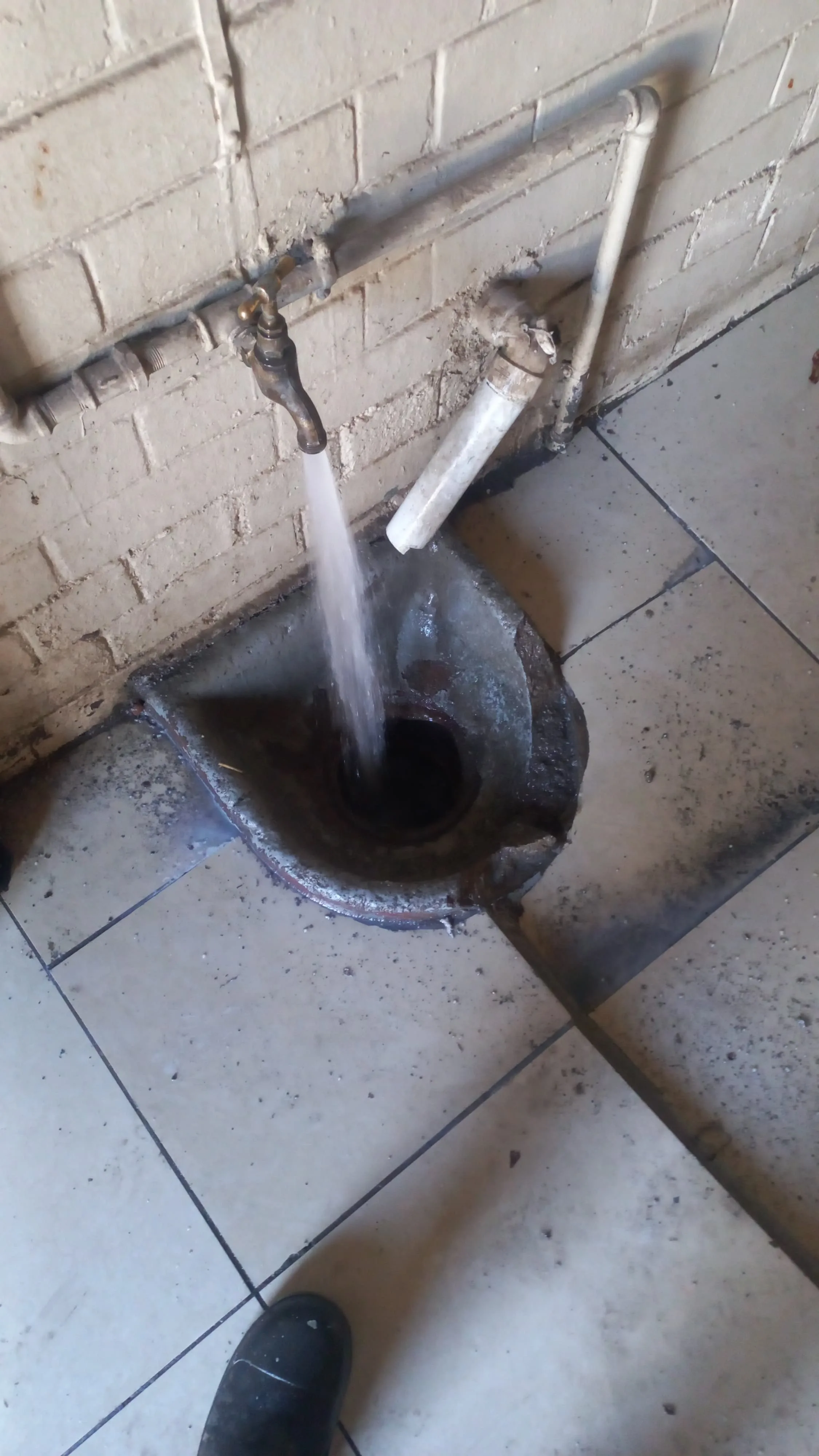 Tree roots removed from a blocked drain pipe in Centurion