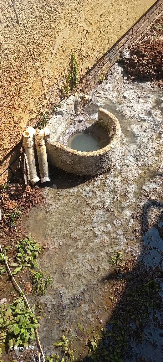 Tree roots removed from a blocked drain pipe