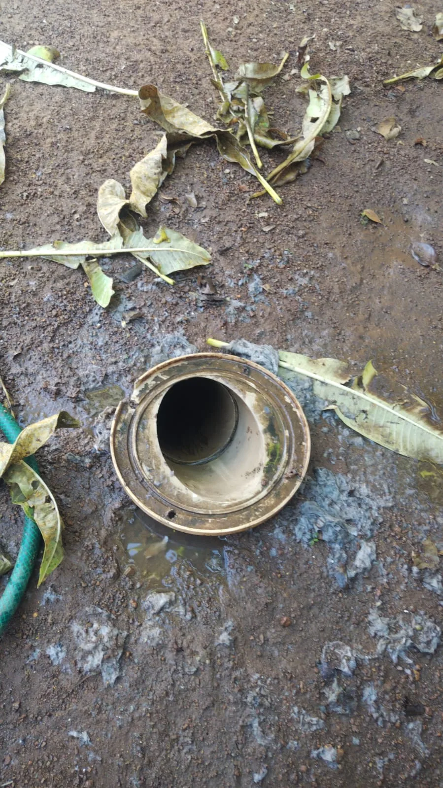 Blocked drain cleared in Edenvale