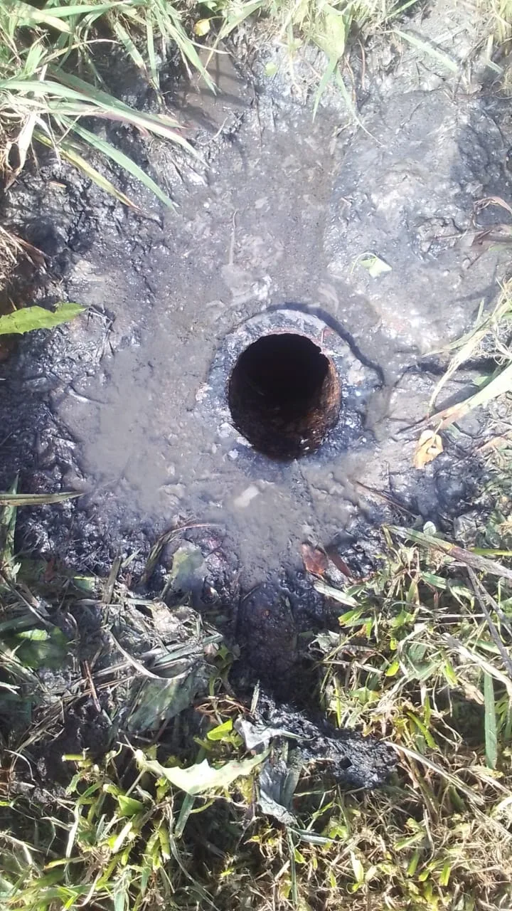 Tree roots removed from a blocked drain pipe