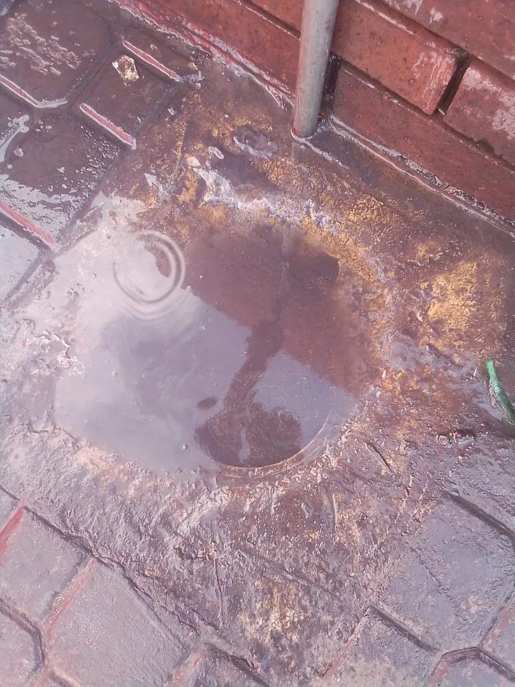 Tree roots removed from a blocked drain pipe