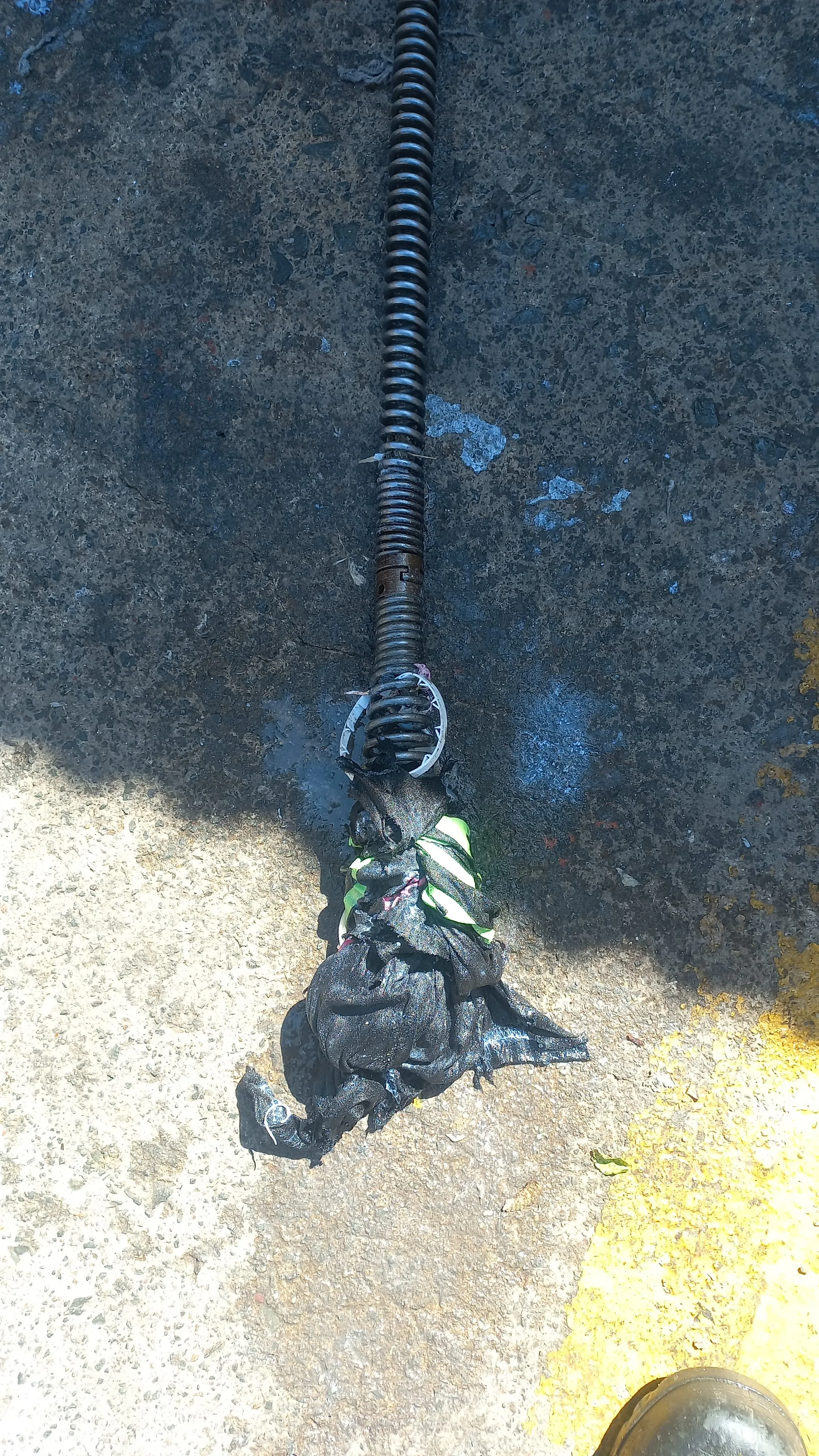 Tree roots removed from a blocked drain pipe