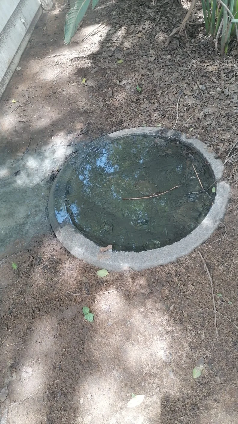 Blocked drain cleaning resolved fontainebleau