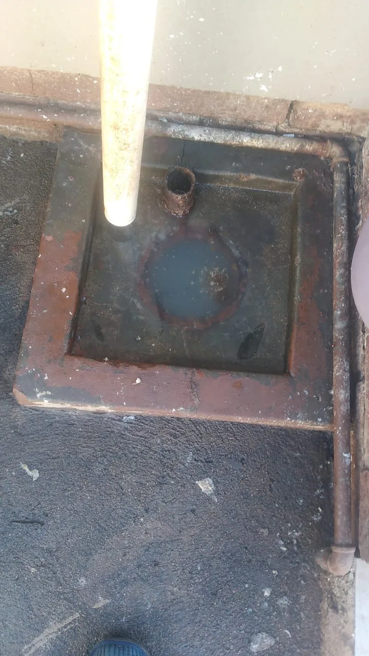 Tree roots removed from a blocked drain pipe
