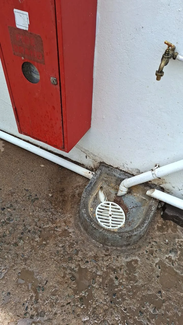 Tree roots removed from a blocked drain pipe
