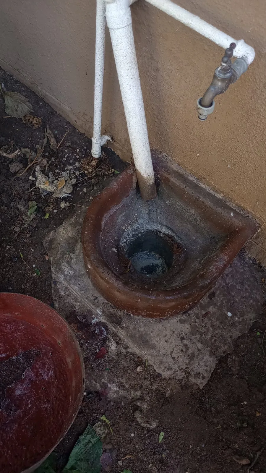 Tree roots removed from a blocked drain pipe