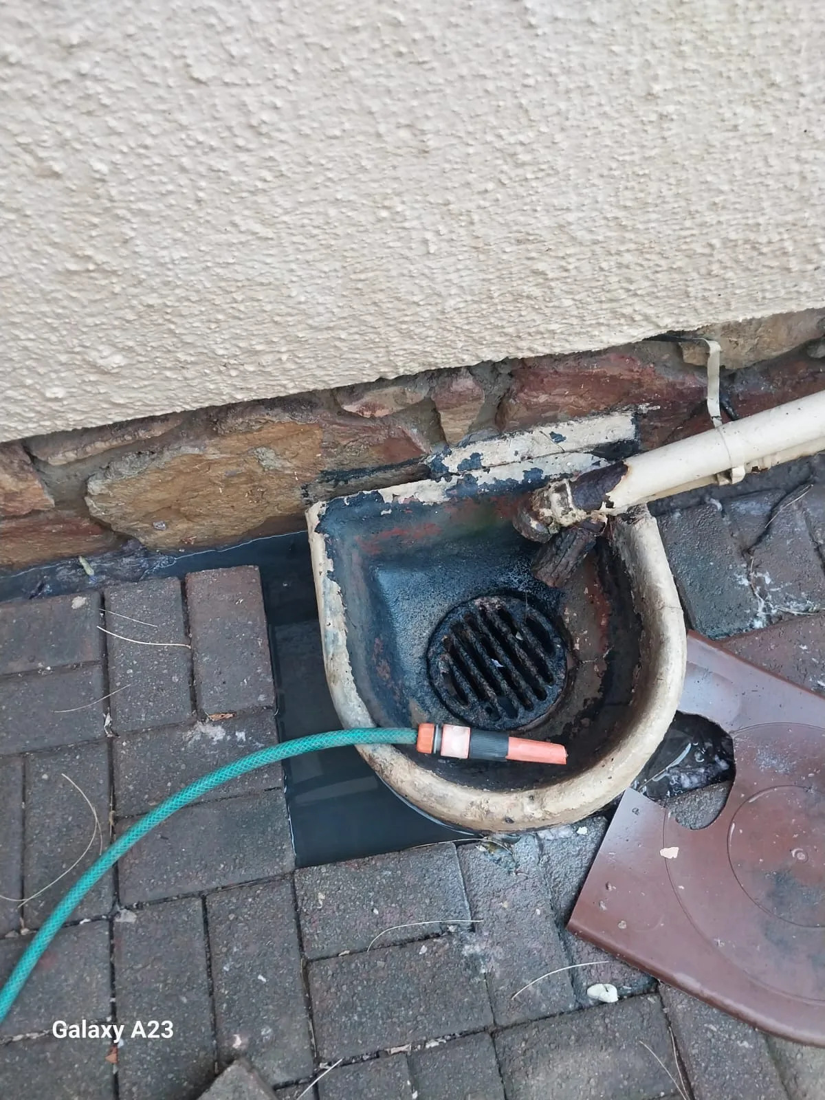 Tree roots removed from a blocked drain pipe