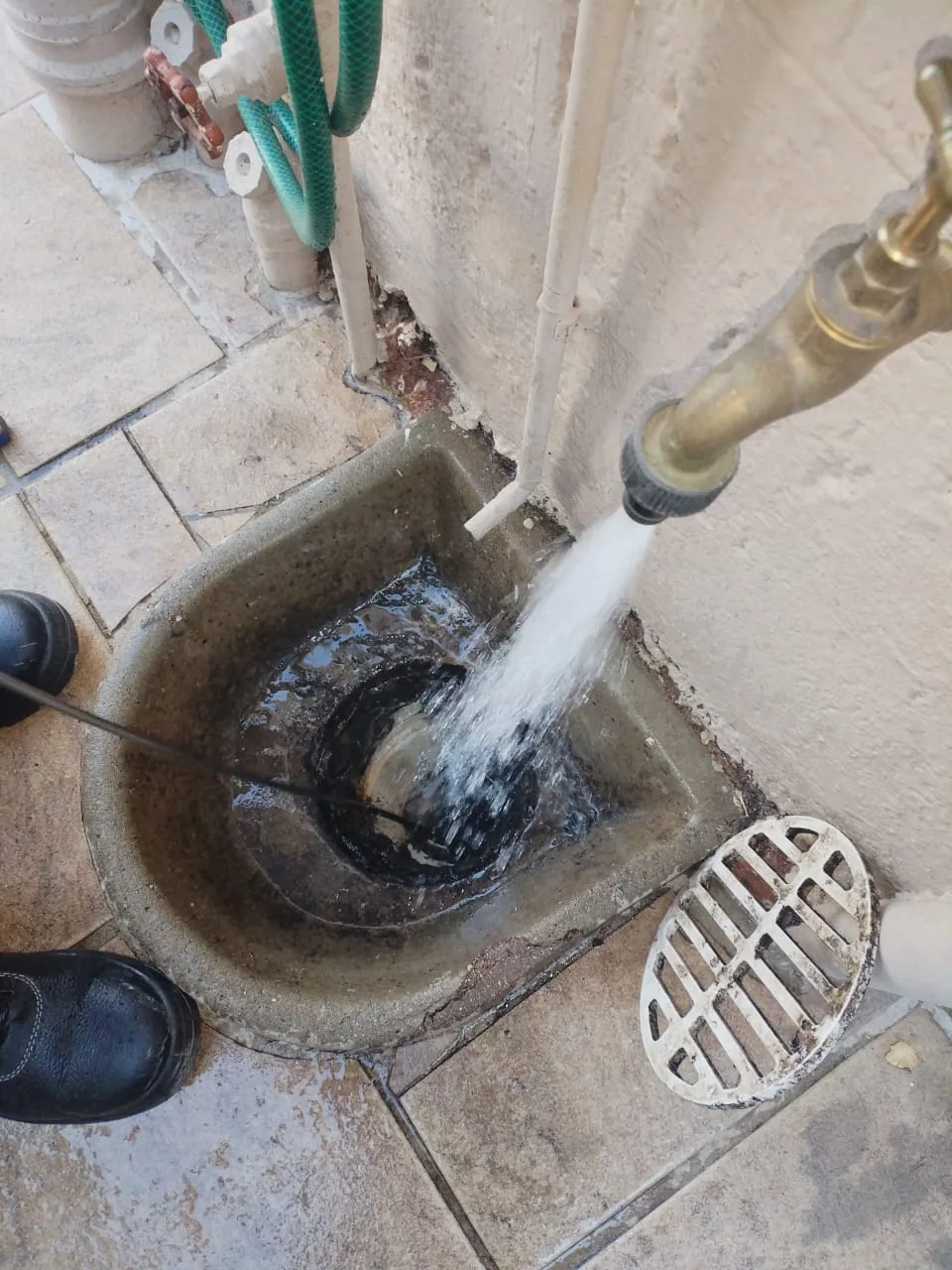 Tree roots removed from a blocked drain pipe