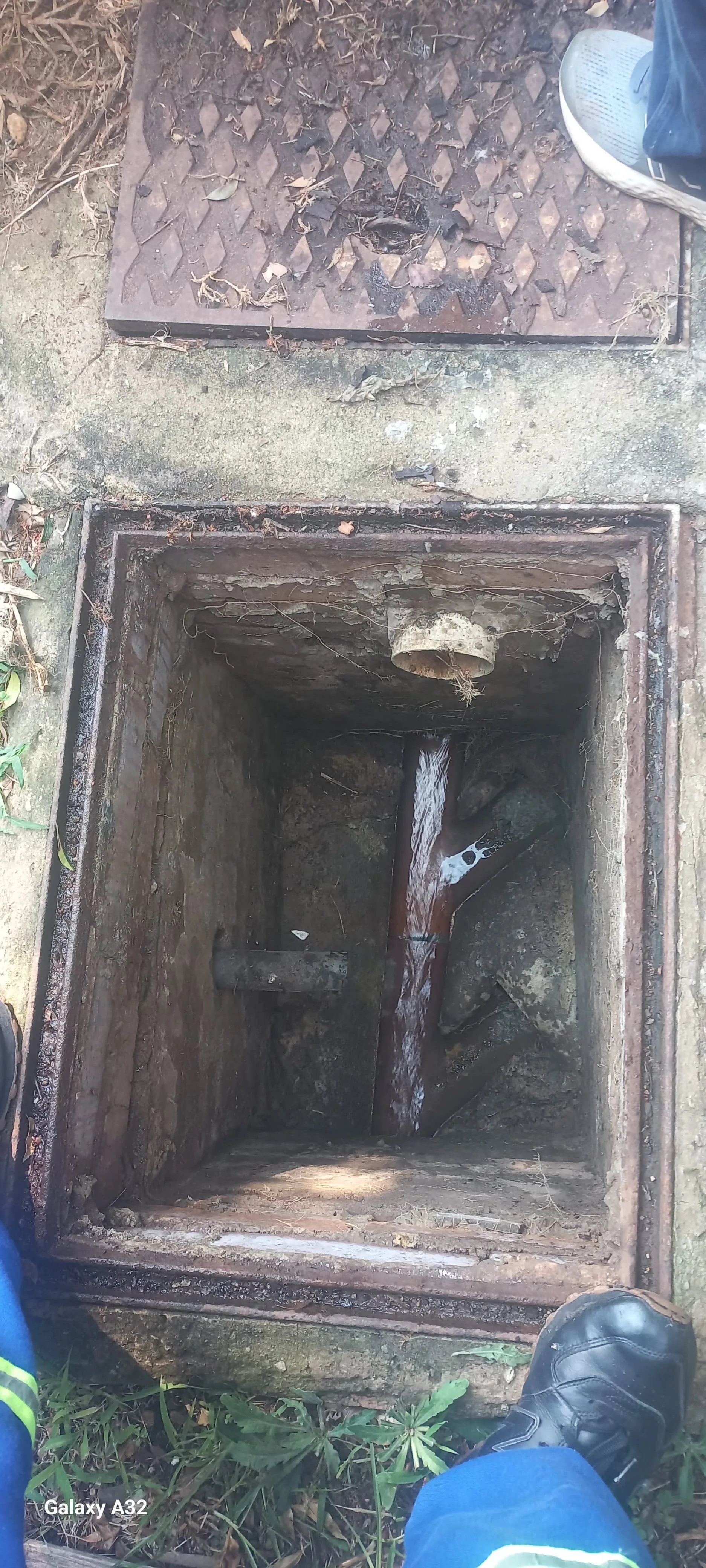 Tree roots removed from a blocked drain pipe