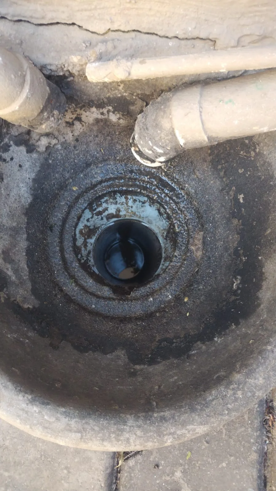Tree roots removed from a blocked drain pipe