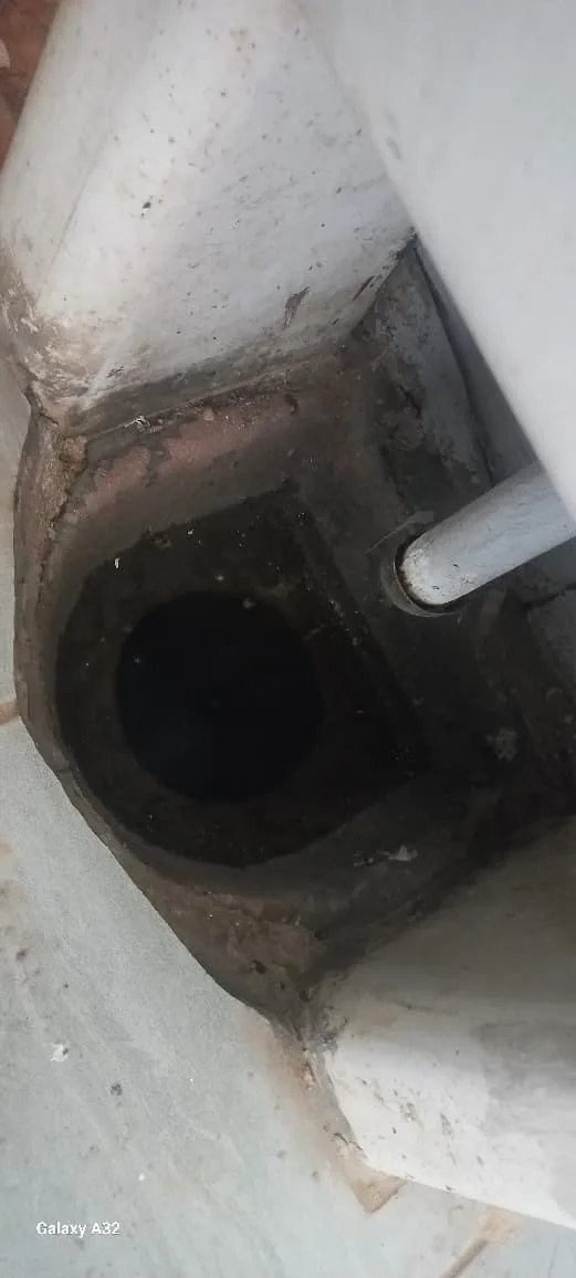 Tree roots removed from a blocked drain pipe