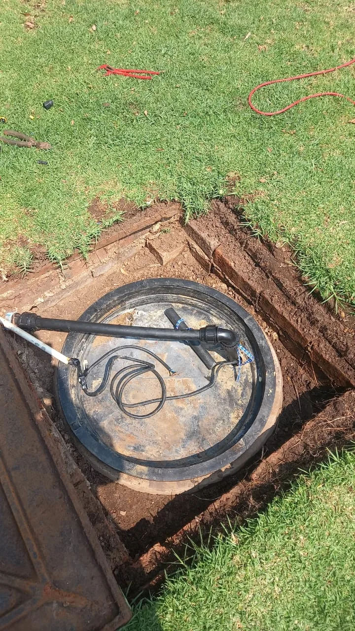 Tree roots removed from a blocked drain pipe