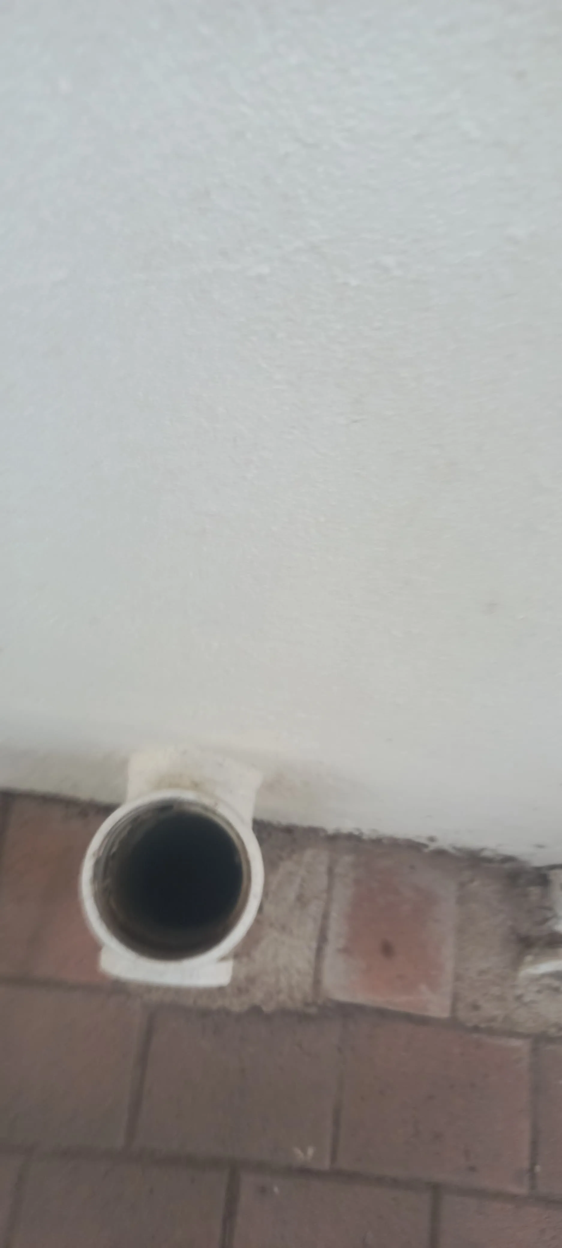 Tree roots removed from a blocked drain pipe