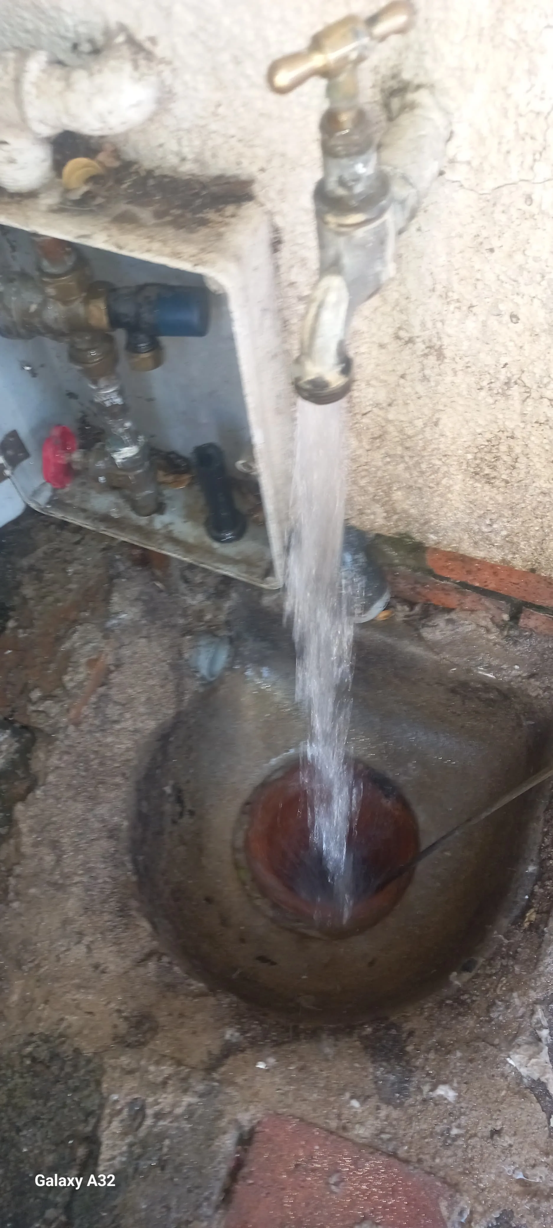 Tree roots removed from a blocked drain pipe
