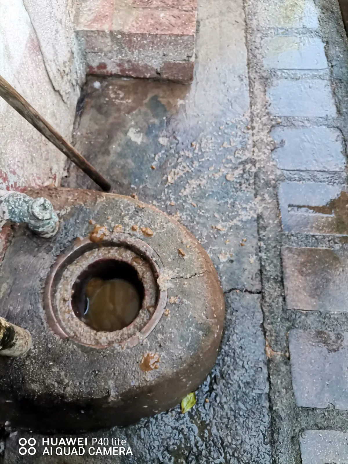 Tree roots removed from a blocked drain pipe