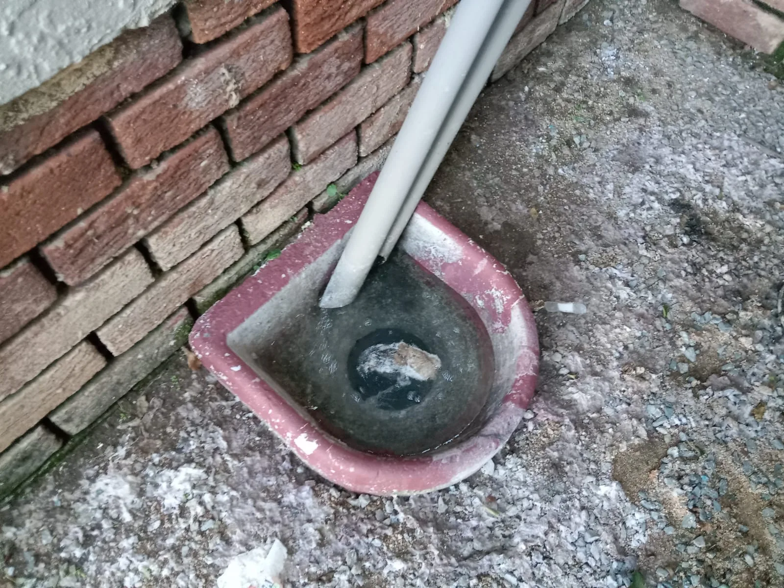 Tree roots removed from a blocked drain pipe