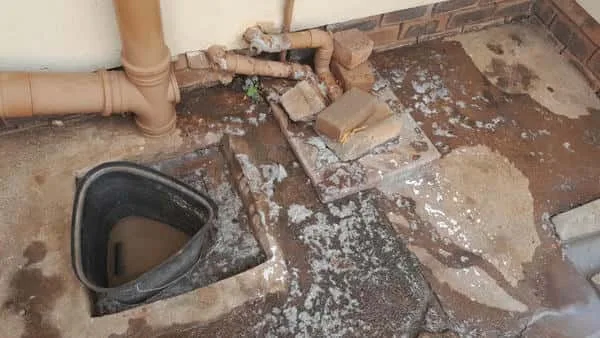 Tree roots removed from a blocked drain pipe