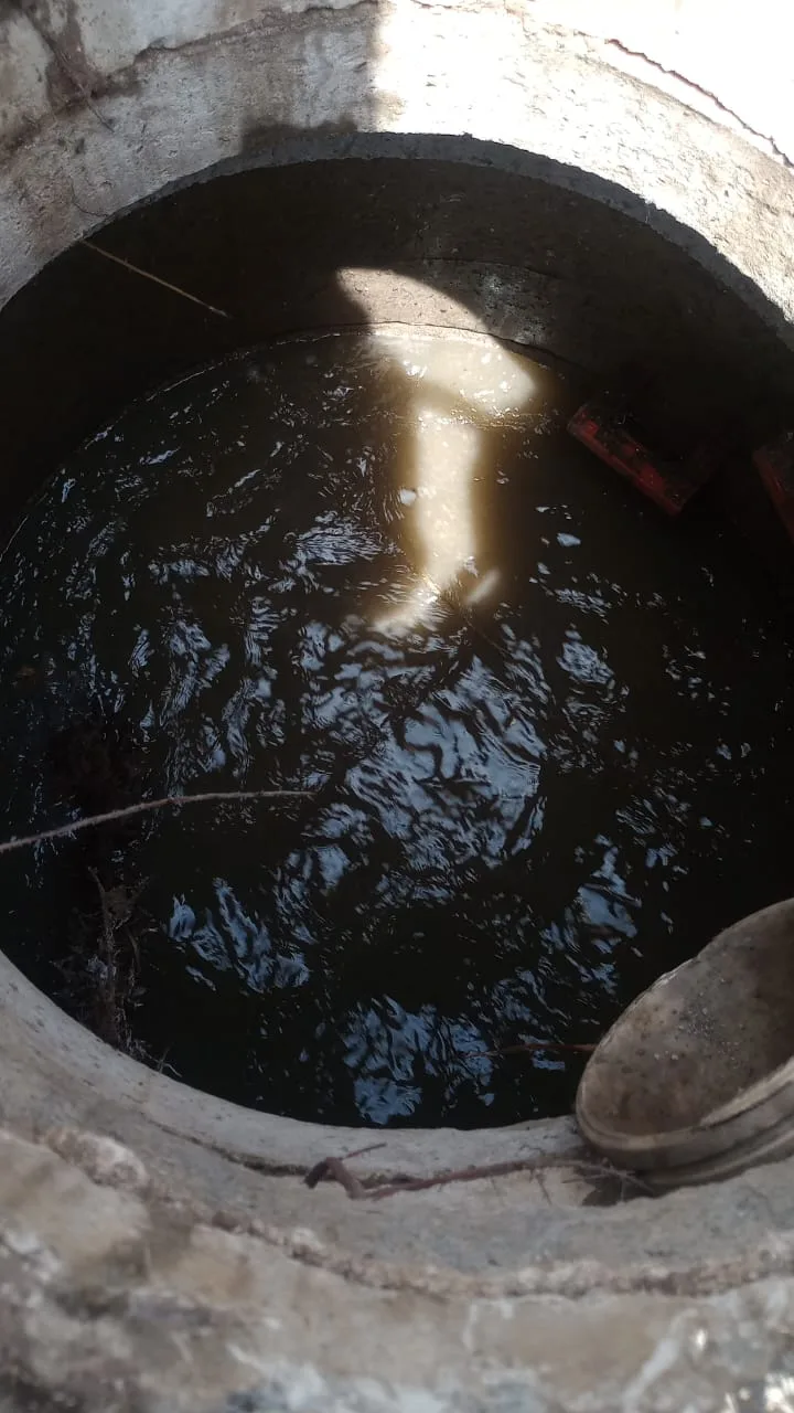 Tree roots removed from a blocked drain pipe