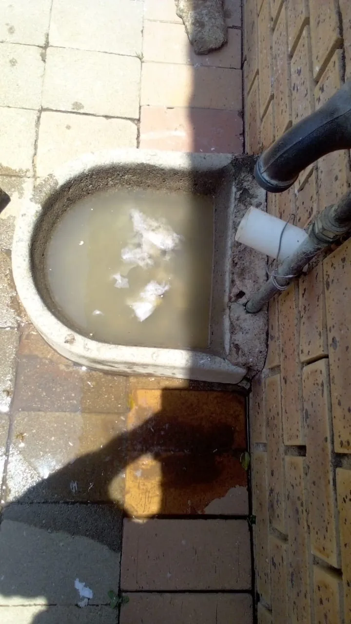Tree roots removed from a blocked drain pipe