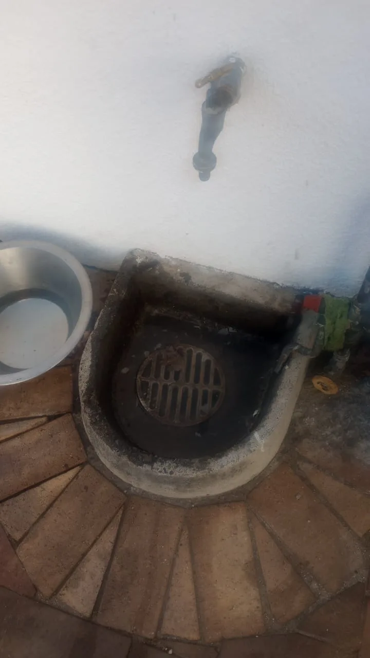 Tree roots removed from a blocked drain pipe