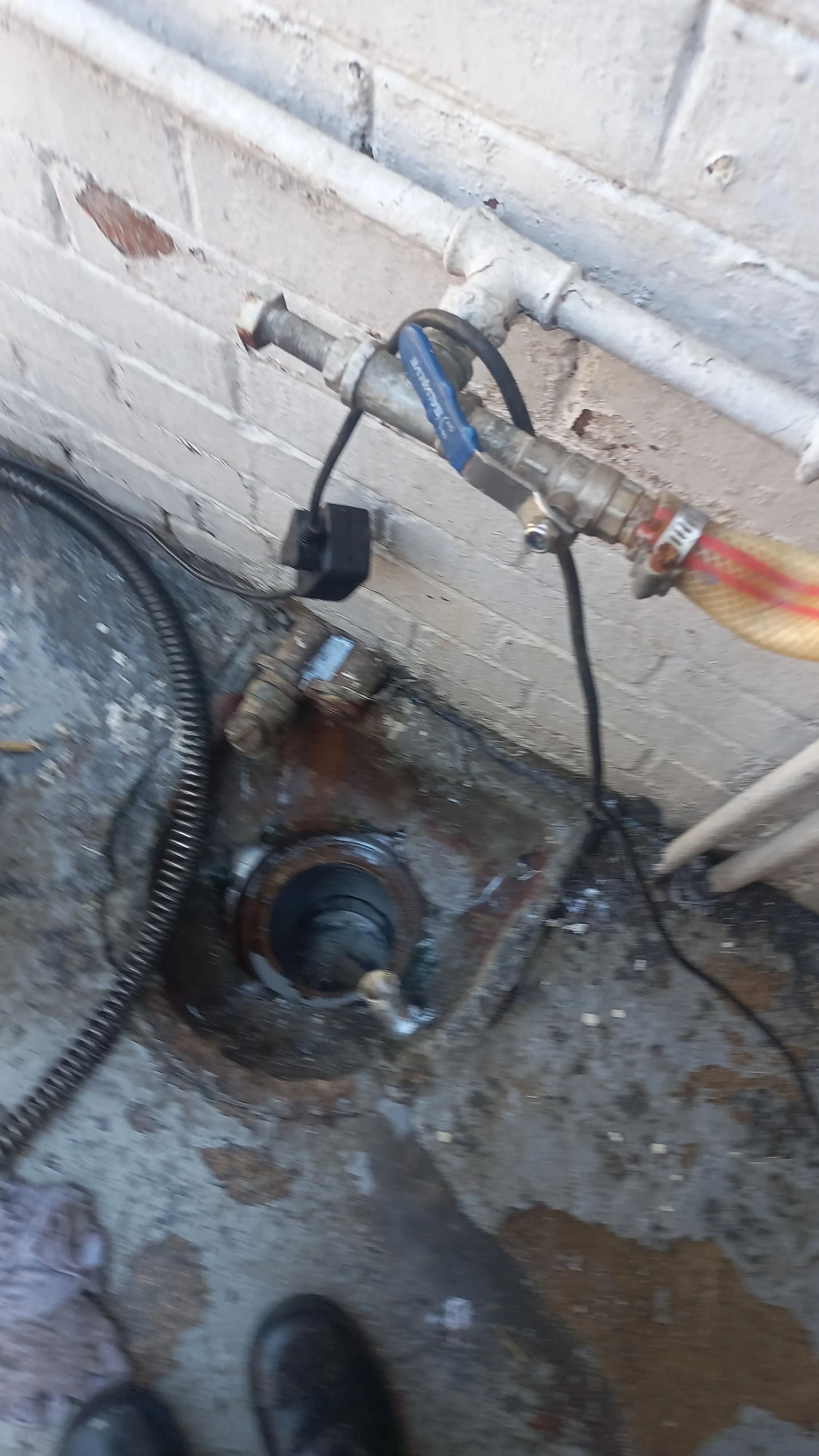 Tree roots removed from a blocked drain pipe
