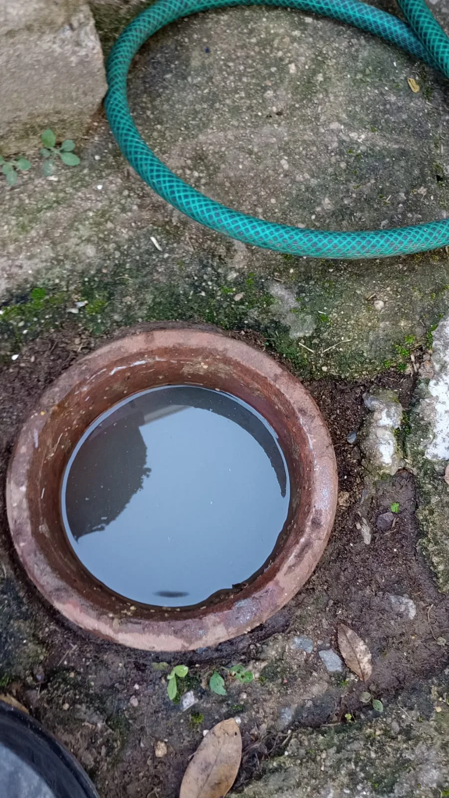Blocked basin and gully cleared in Primrose Primrose
