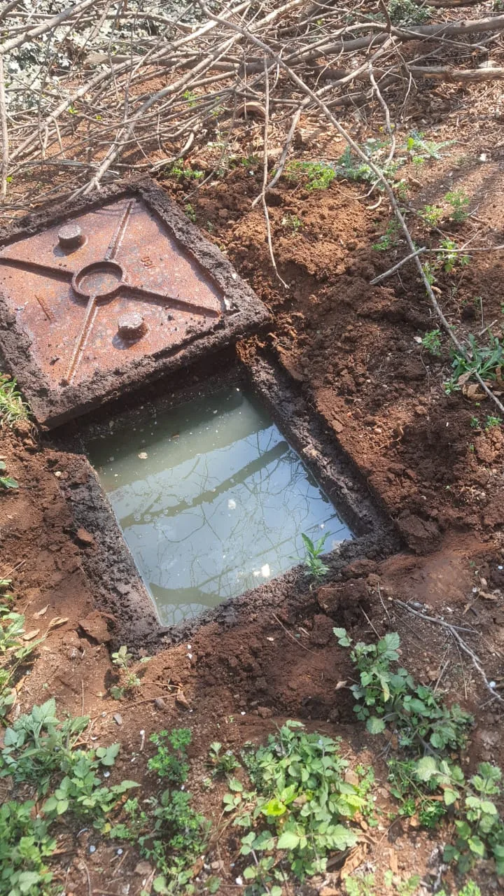 Tree roots removed from a blocked drain pipe