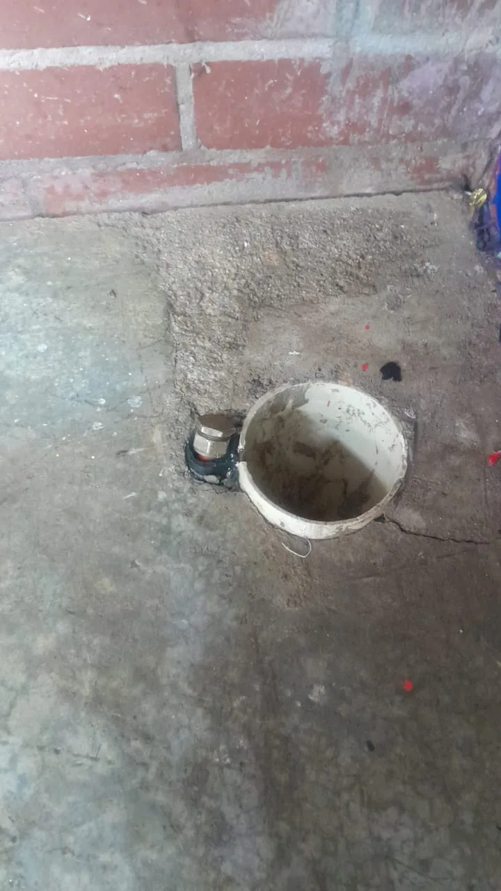 Tree roots removed from a blocked drain pipe