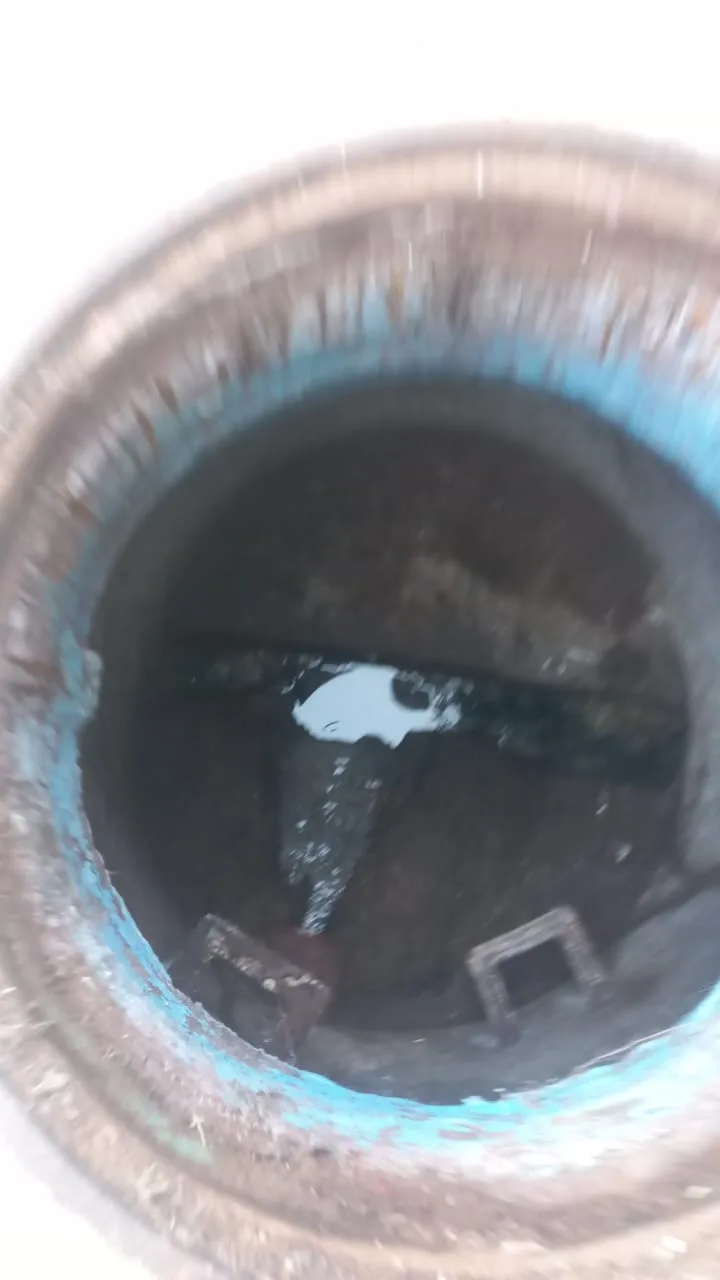 Tree roots removed from a blocked drain pipe