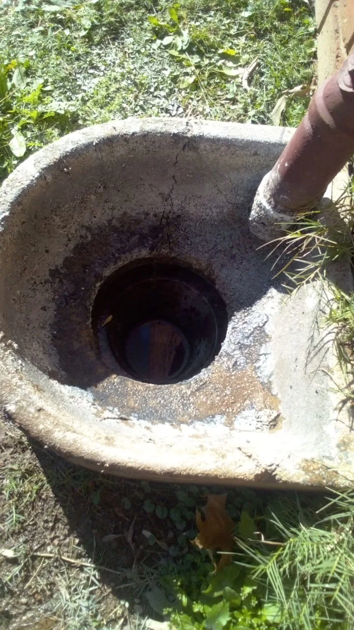 Tree roots removed from a blocked drain pipe