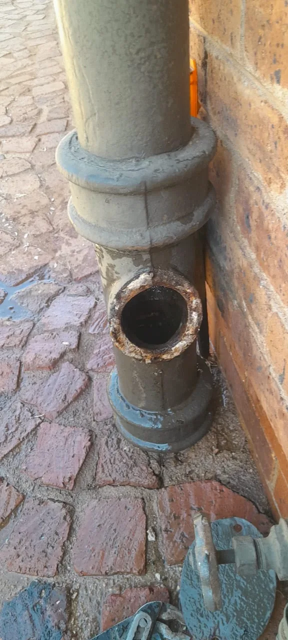 Tree roots removed from a blocked drain pipe