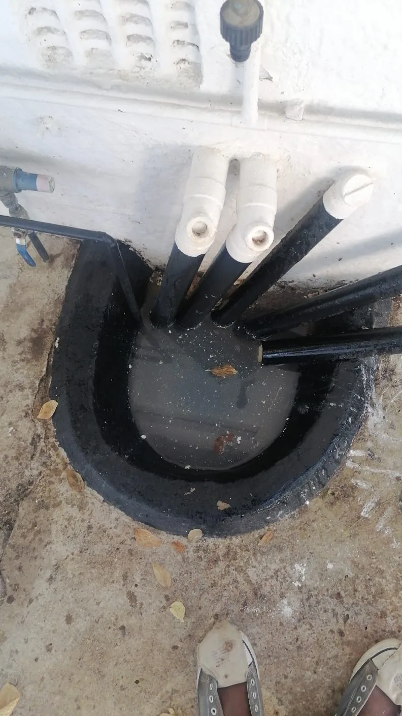 Tree roots removed from a blocked drain pipe