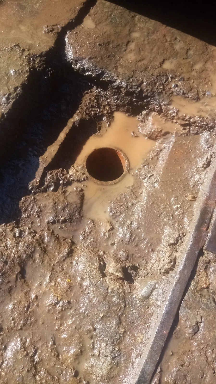 Tree roots removed from a blocked drain pipe