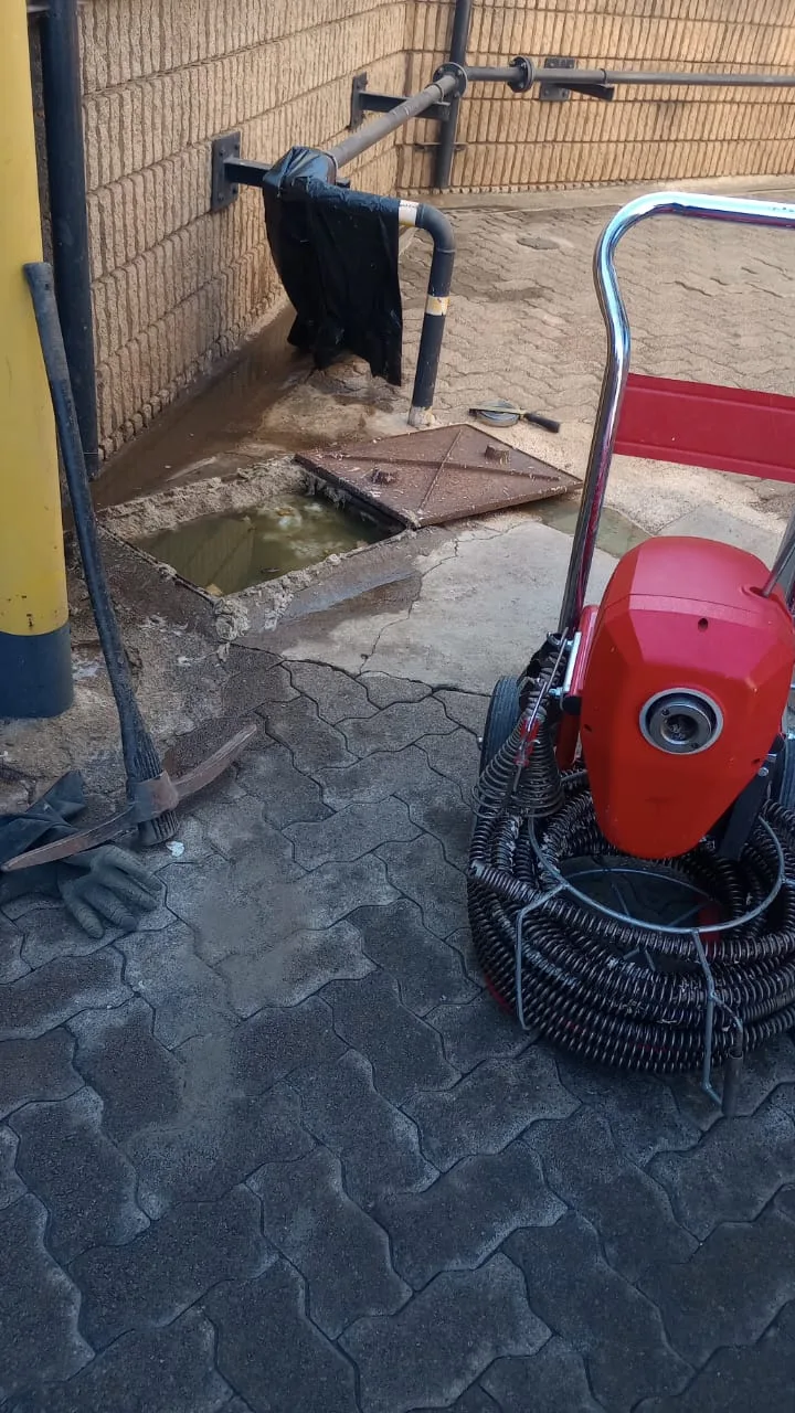 Tree roots removed from a blocked drain pipe