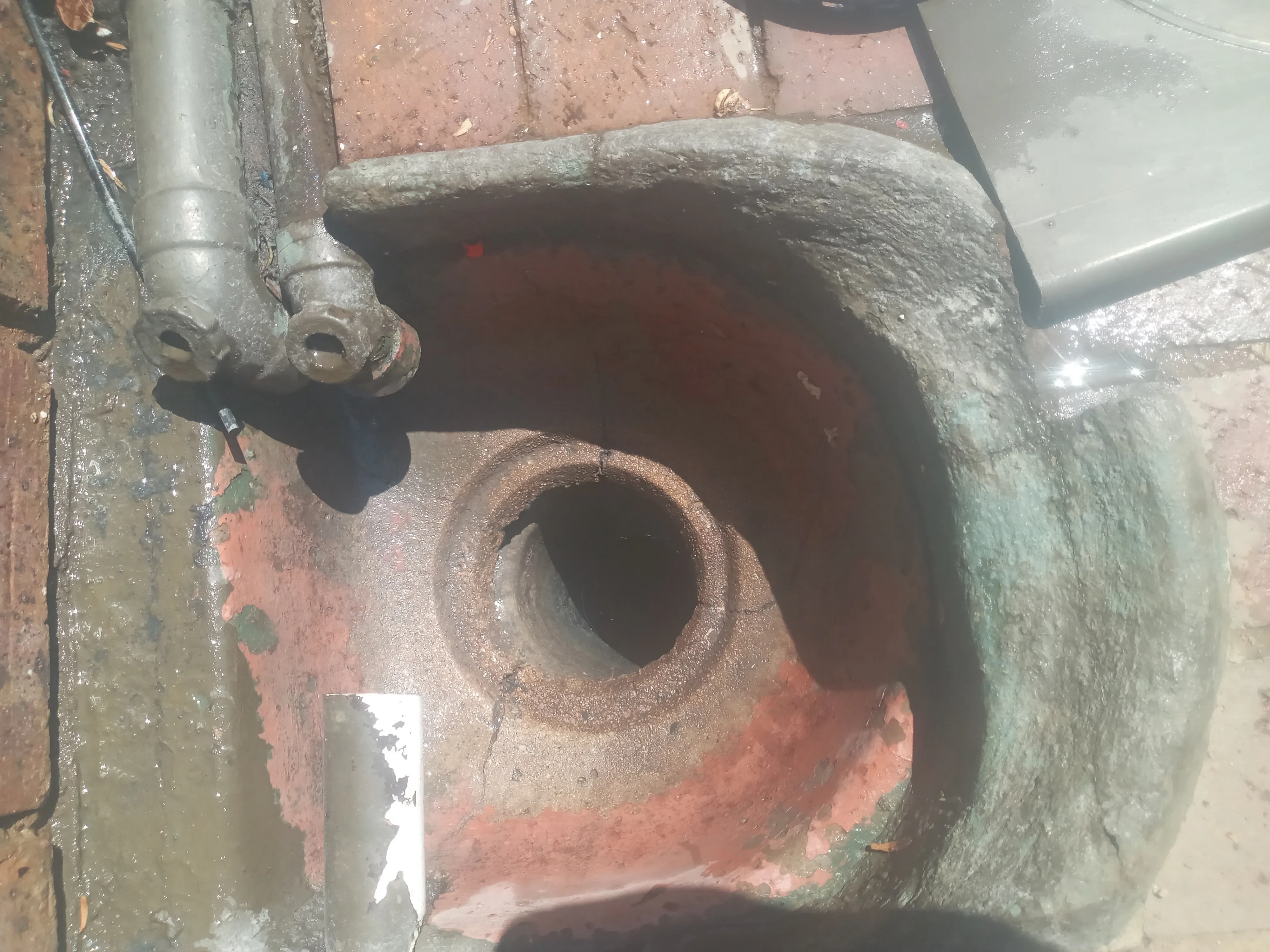 Tree roots removed from a blocked drain pipe