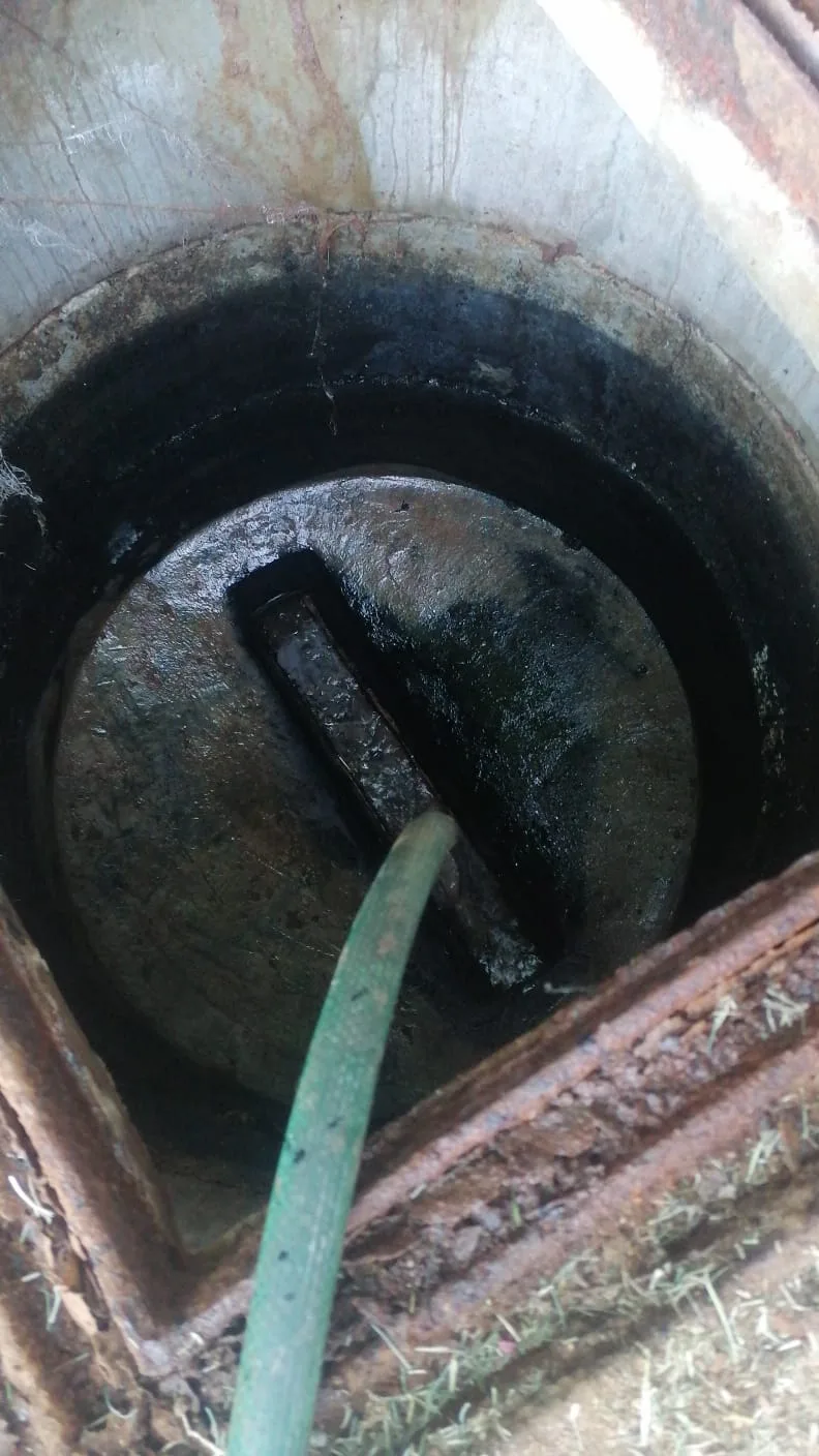 Tree roots removed from a blocked drain pipe