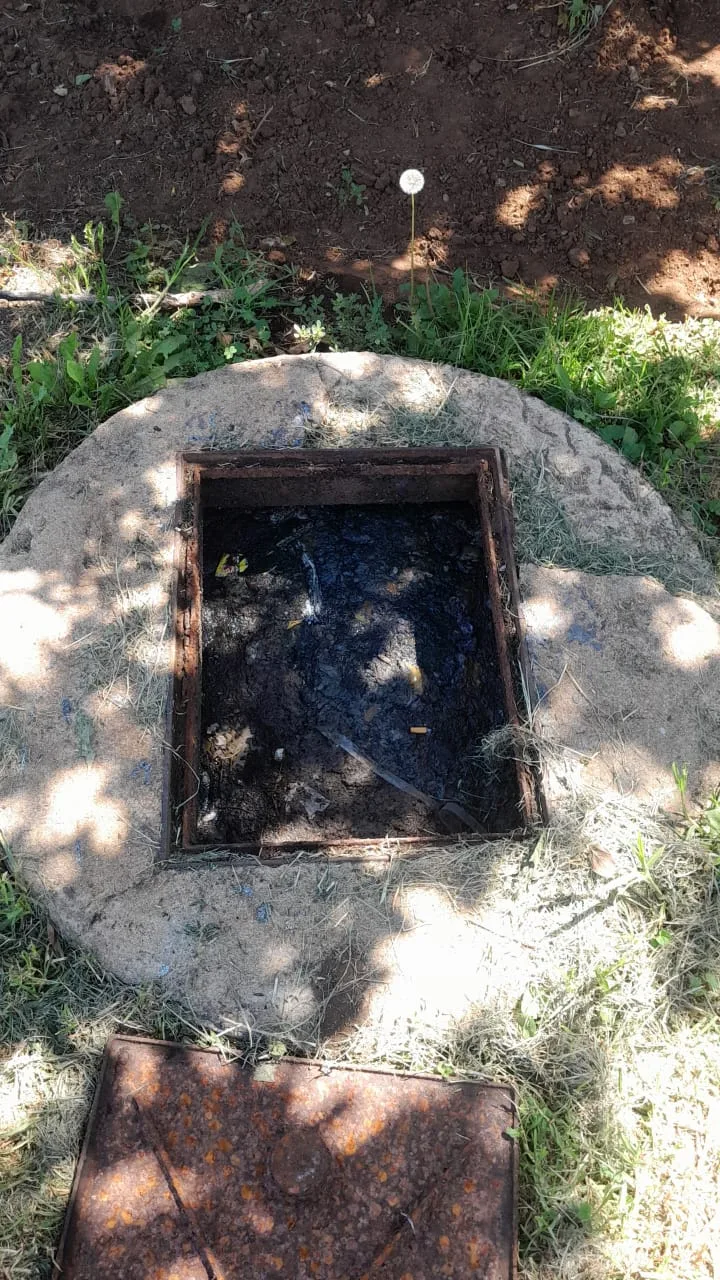 Tree roots removed from a blocked drain pipe