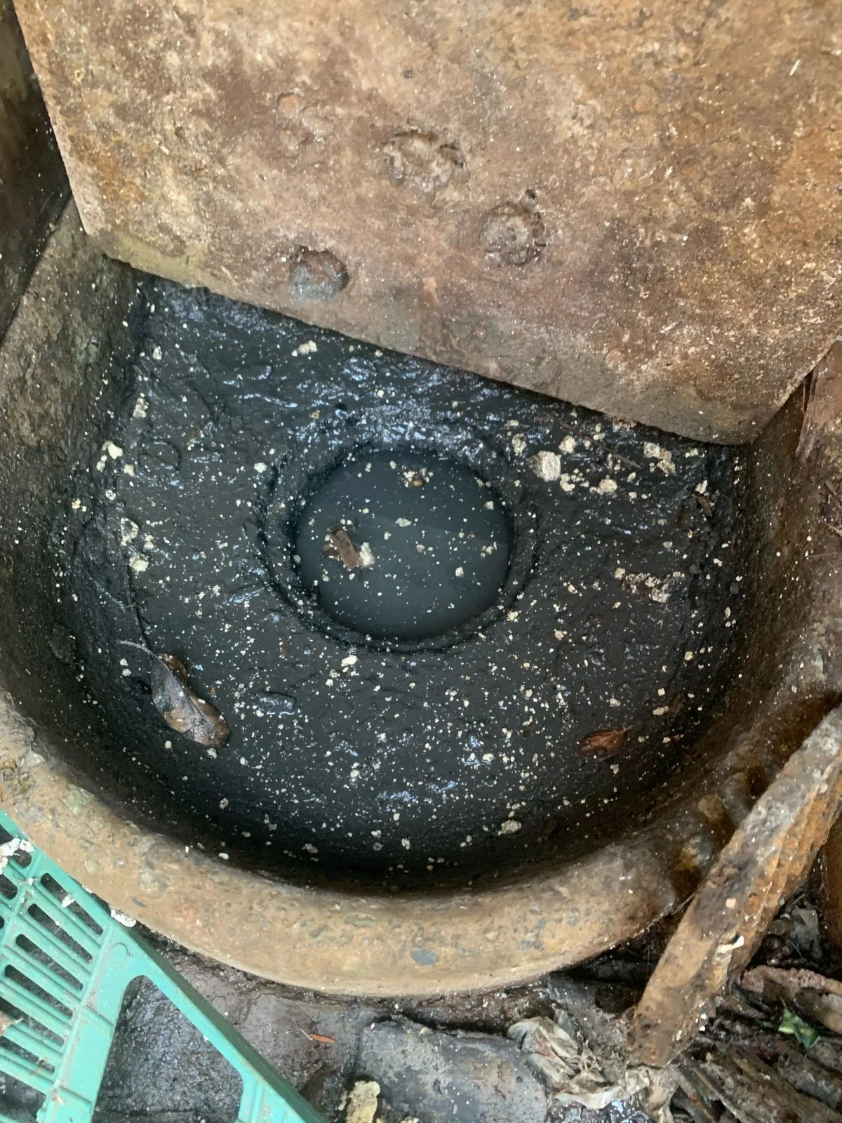 Tree roots removed from a blocked drain pipe