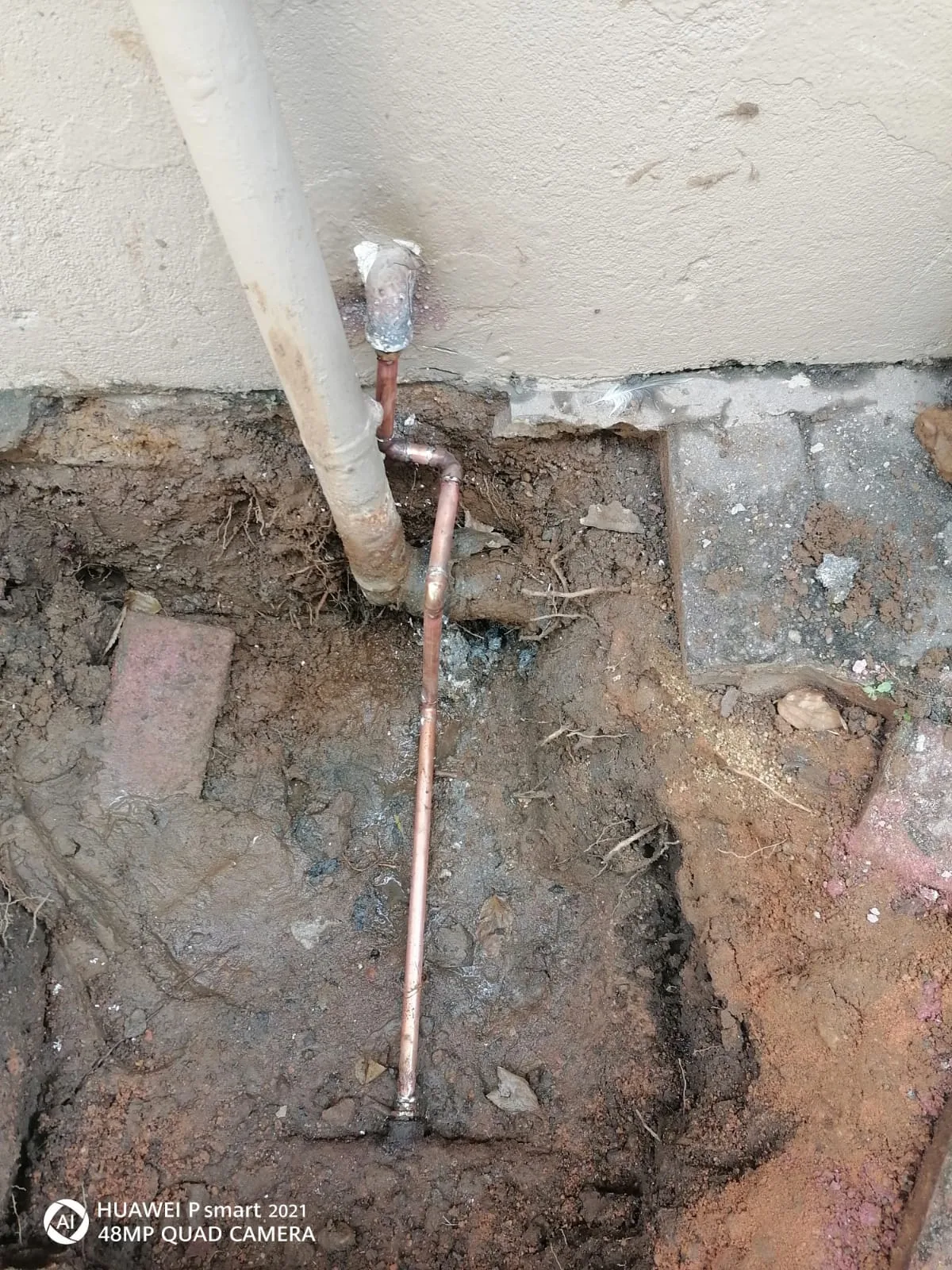 Tree roots removed from a blocked drain pipe