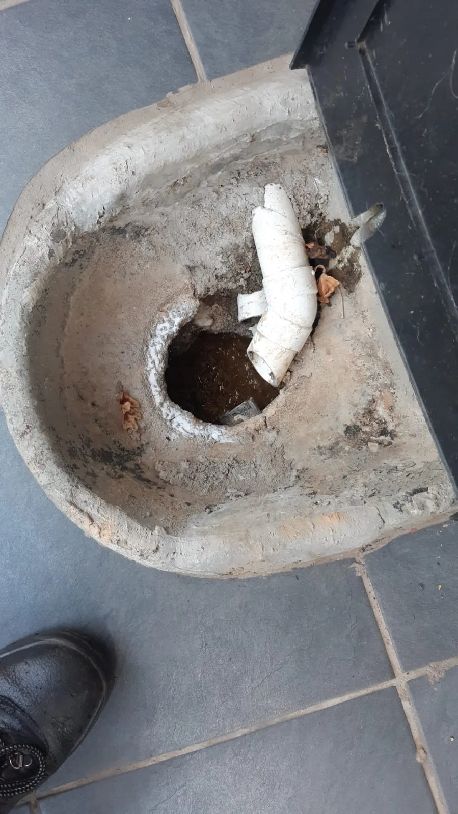 Tree roots removed from a blocked drain pipe